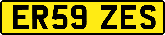 ER59ZES