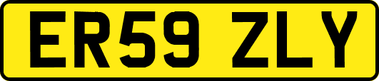 ER59ZLY