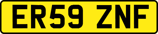 ER59ZNF