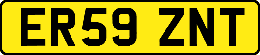 ER59ZNT