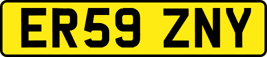 ER59ZNY