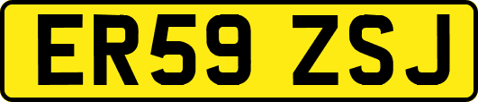 ER59ZSJ
