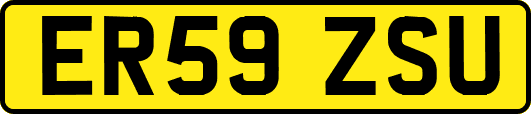 ER59ZSU
