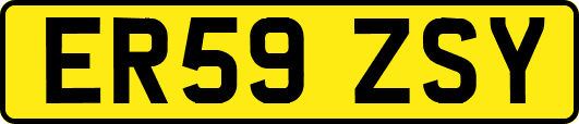 ER59ZSY