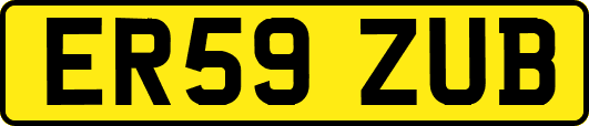 ER59ZUB