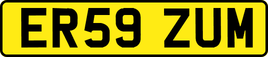 ER59ZUM