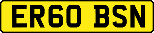 ER60BSN