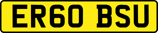 ER60BSU