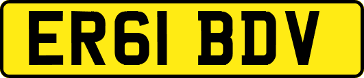 ER61BDV