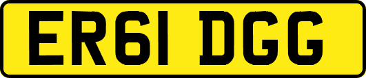 ER61DGG