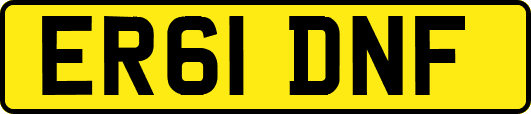 ER61DNF