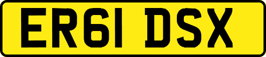 ER61DSX