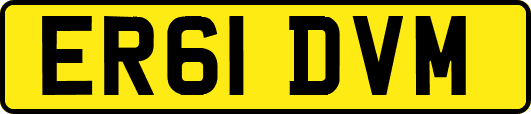 ER61DVM