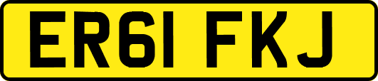 ER61FKJ
