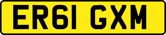ER61GXM