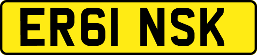 ER61NSK