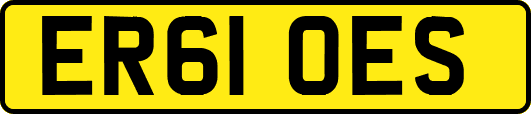 ER61OES