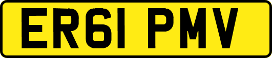 ER61PMV