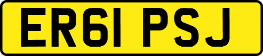 ER61PSJ