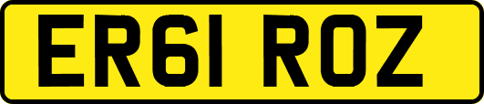 ER61ROZ