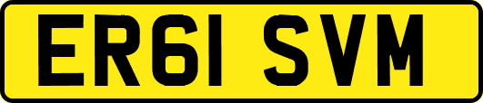 ER61SVM