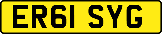 ER61SYG