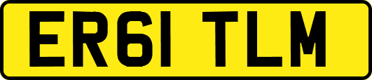 ER61TLM