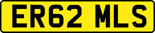 ER62MLS