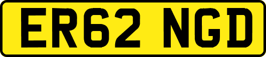 ER62NGD