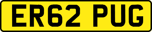 ER62PUG