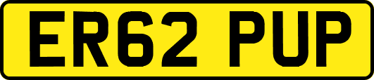 ER62PUP