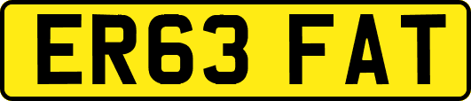 ER63FAT