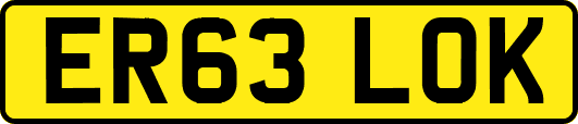 ER63LOK
