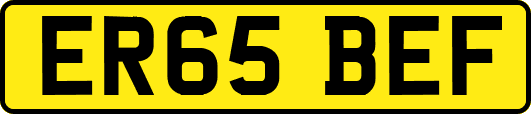 ER65BEF