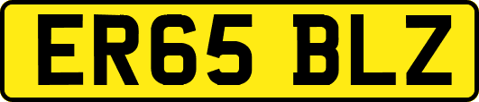 ER65BLZ