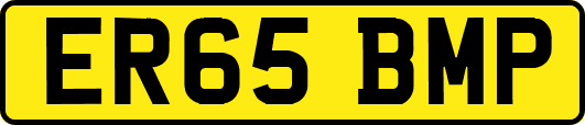 ER65BMP