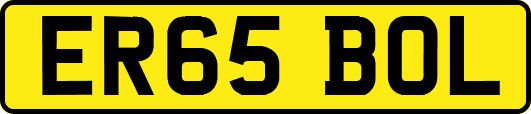 ER65BOL