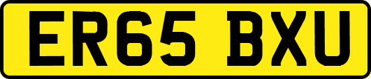 ER65BXU