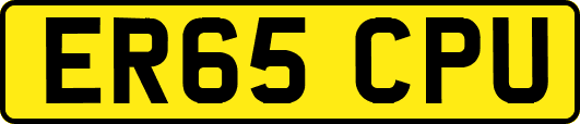 ER65CPU