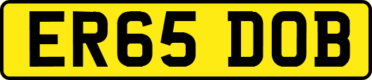 ER65DOB