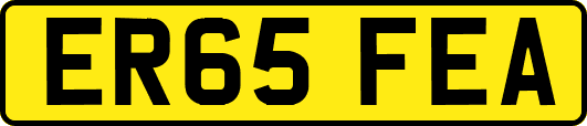 ER65FEA