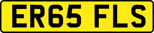 ER65FLS
