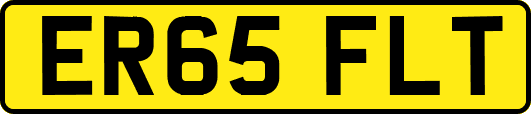 ER65FLT