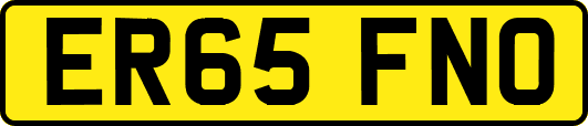 ER65FNO