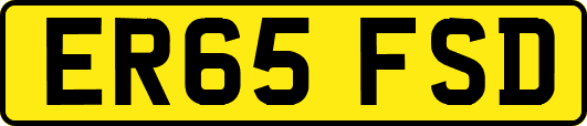 ER65FSD
