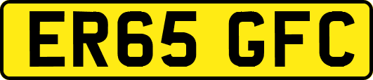 ER65GFC