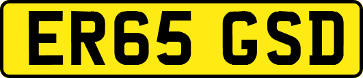 ER65GSD