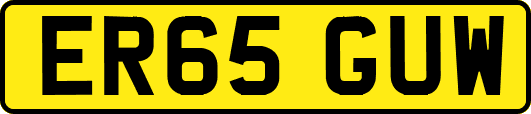 ER65GUW