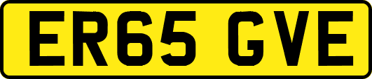 ER65GVE
