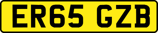ER65GZB